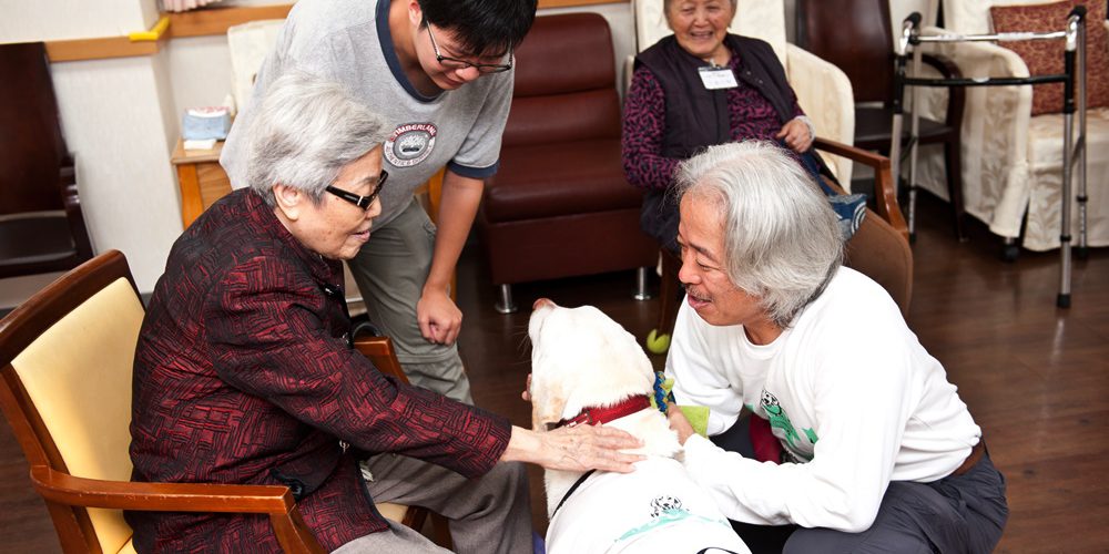 動物相伴重拾長者歡笑　失智症日間照顧中心經驗分享